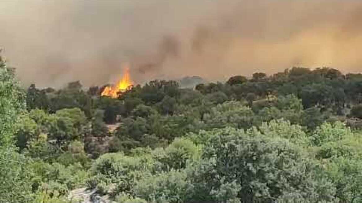 Πυρκαγιά στην Αλεξανδρούπολη 2