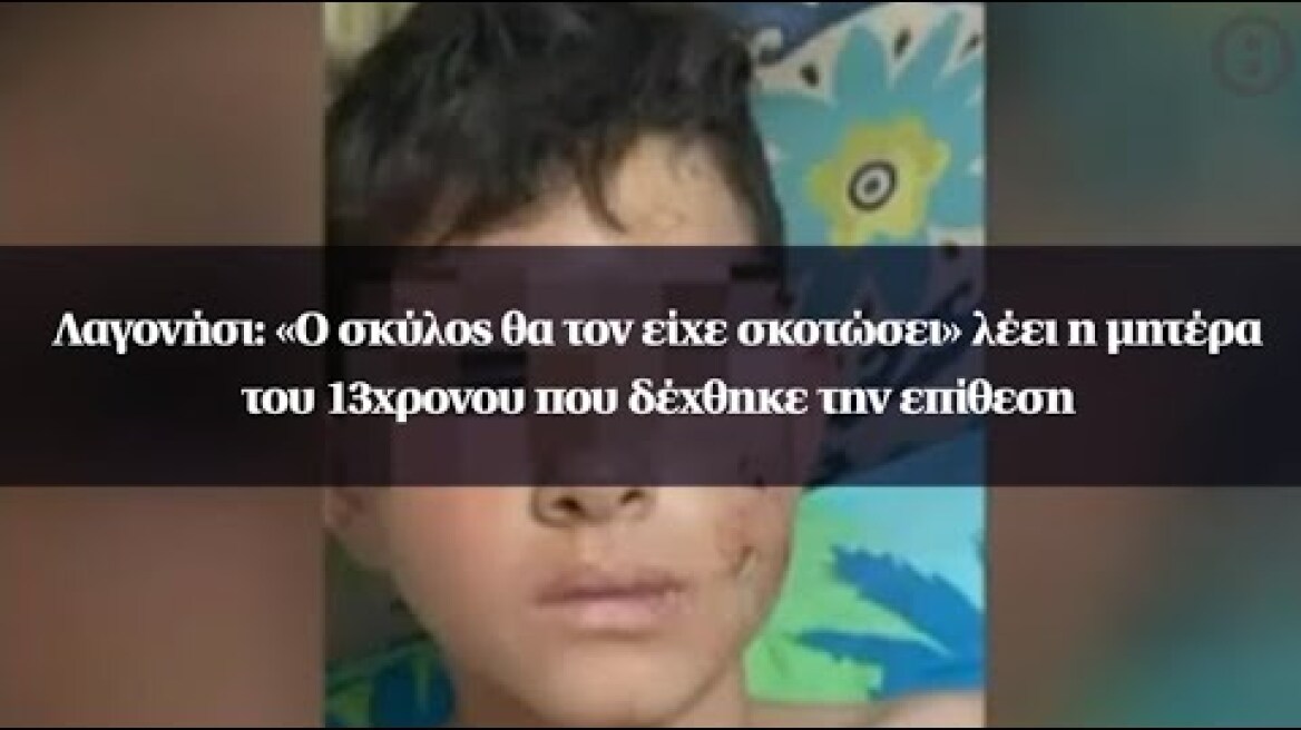 Λαγονήσι: «O σκύλος θα τον είχε σκοτώσει» λέει η μητέρα του 13χρονου που δέχθηκε την επίθεση