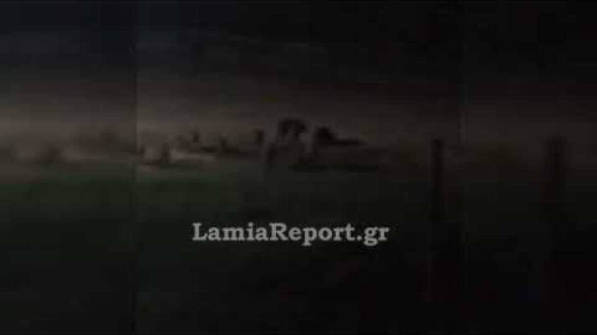 LamiaReport.gr: Αγριογούρουνα σε παιδική χαρά στο Δομοκό