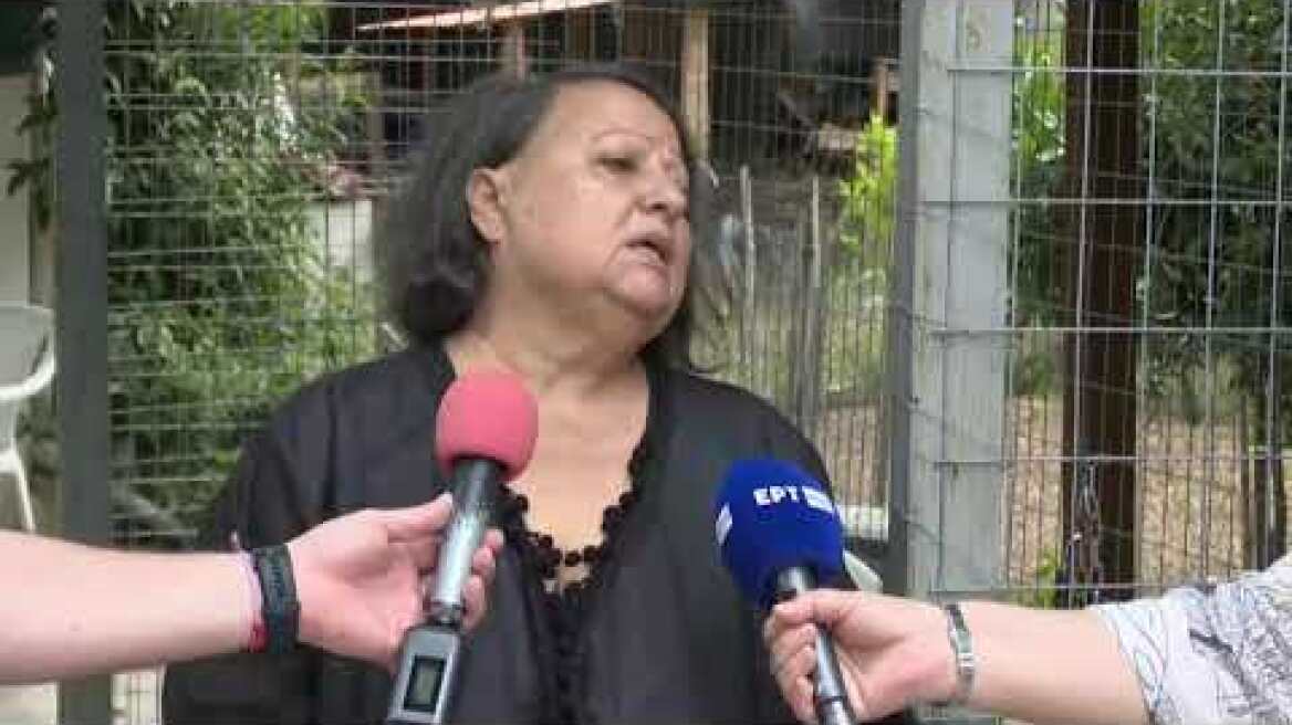 Δήλωση της μητέρας της 29χρονης στην Καλαμάτα