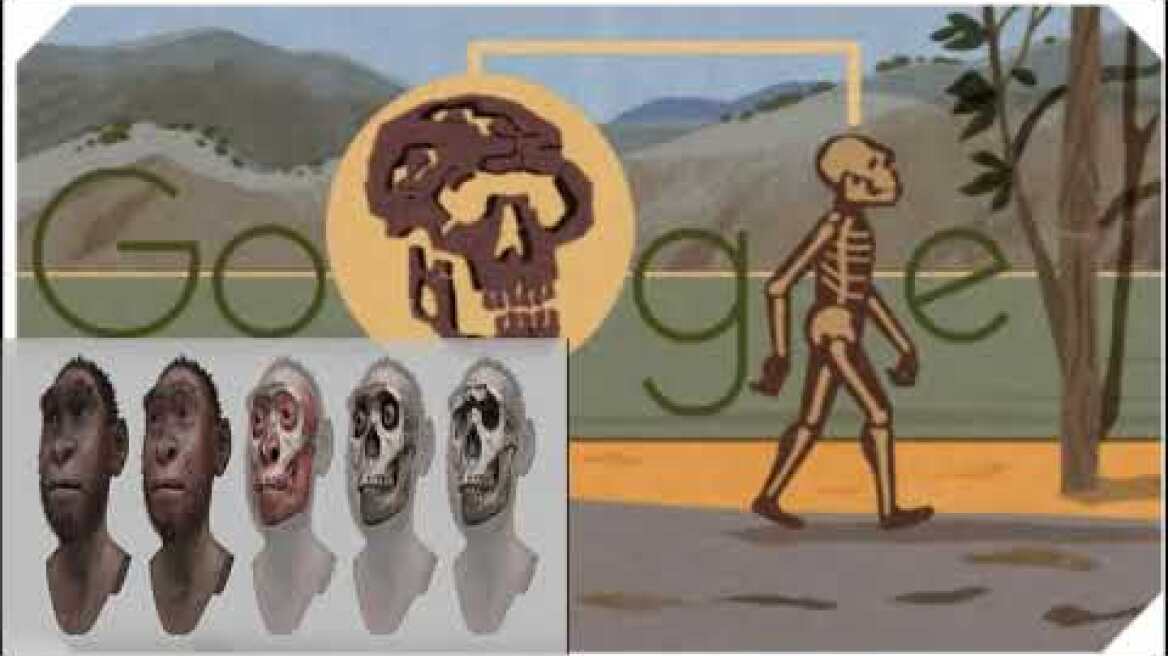 Το αγόρι της Τουρκάνα, Ποιο ήταν το αγόρι της Τουρκάνα;, Το αγόρι της Τουρκάνα Google Doodle