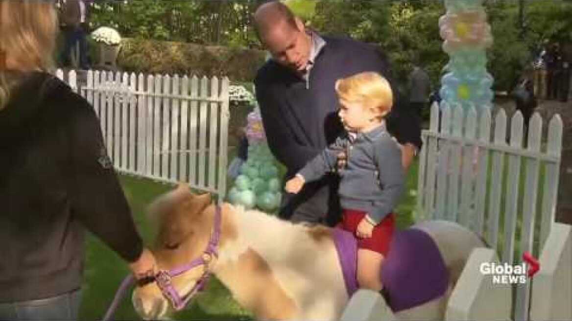 Princess Charlotte and Prince George have some fun with balloons and animals