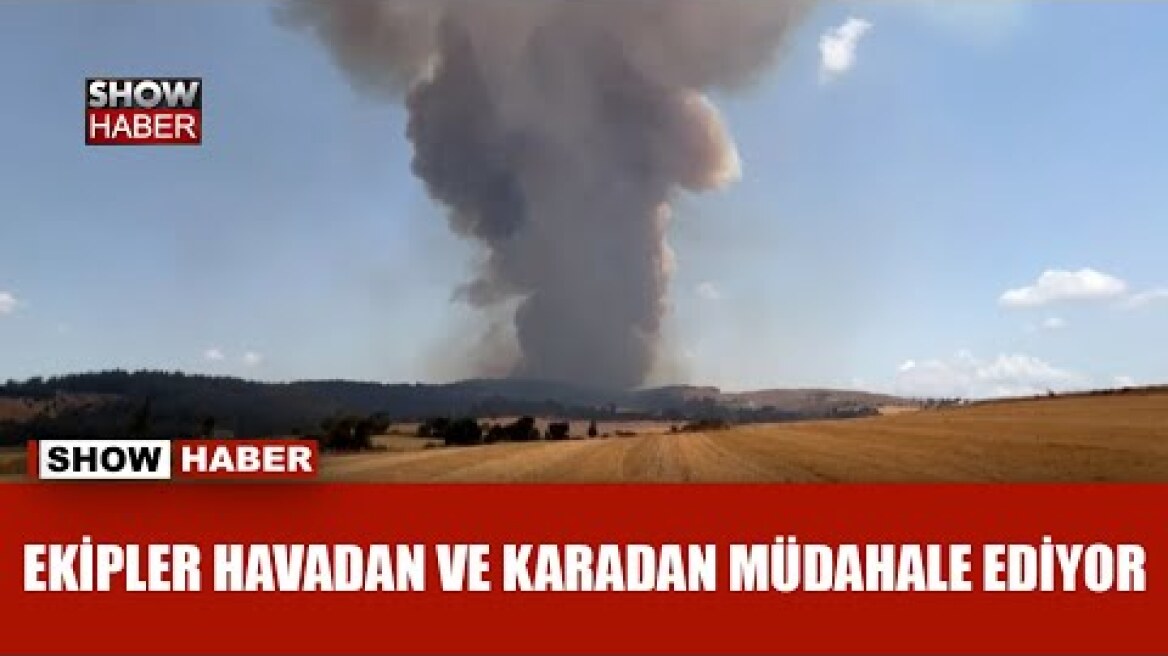 Çanakkale'de orman yangını!