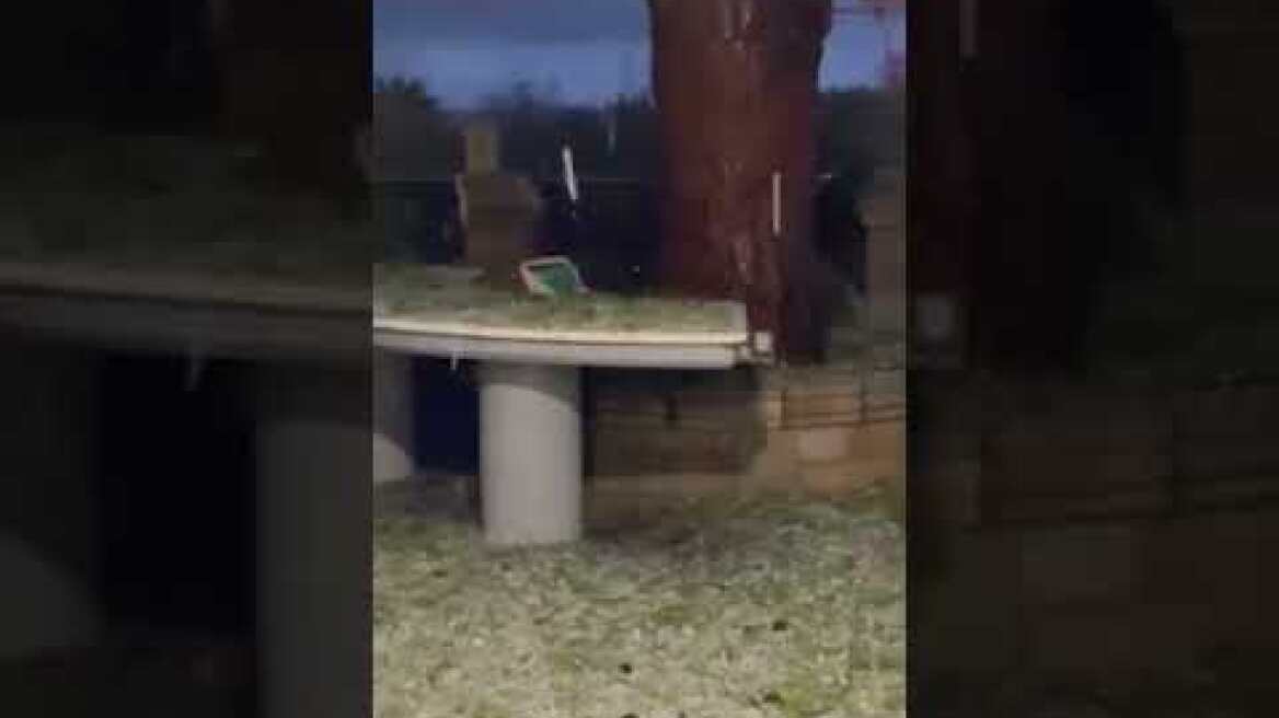 Χαλαζόπτωση στους Πεύκους - 28.12.21