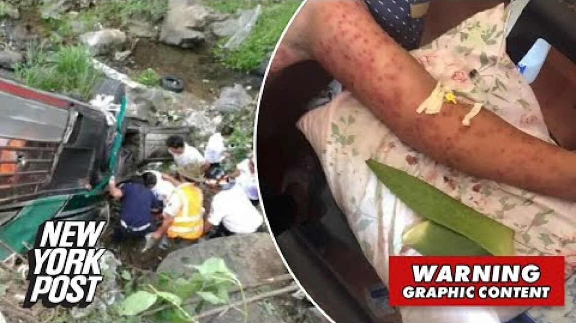 6 people stung to death by killer bees after bus plummets into hive | New York Post