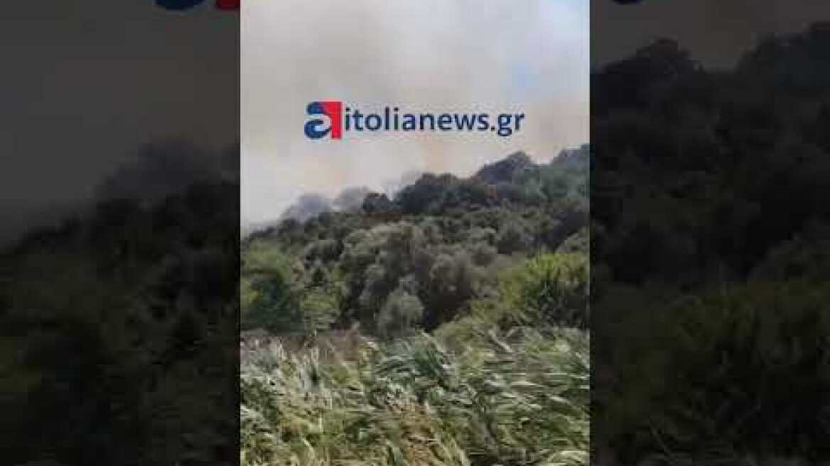 Μεγάλη πυρκαγιά στην Κατοχή στο αρχαίο Θέατρο Οινιαδών