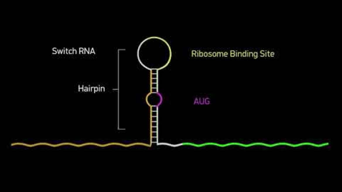 iGEM Thessaloniki Promotion Video METIS - Greek version