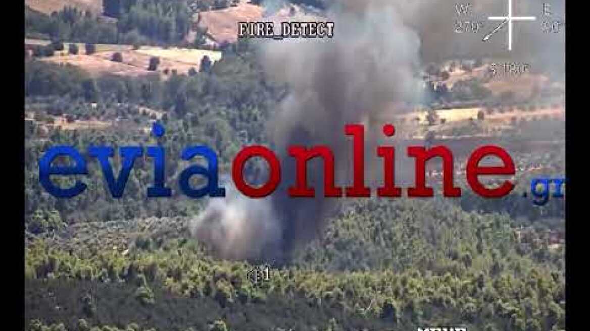 Εύβοια: Φωτιά σε πευκοδάσος