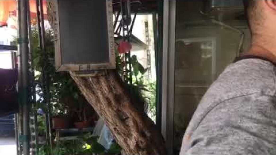 Κράτησα το ένα παιδί στα χέρια μου και βοήθησα την αστυνομία