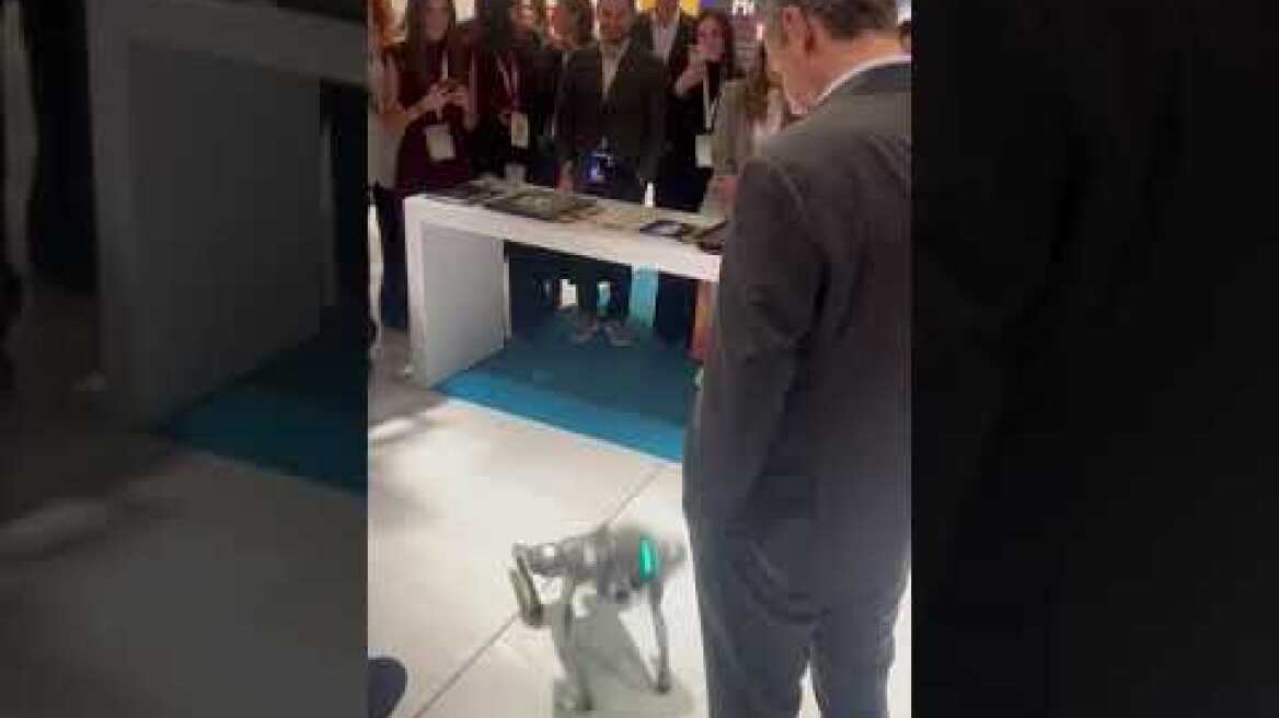 Μητσοτάκης με ένα σκυλί ρομπότ