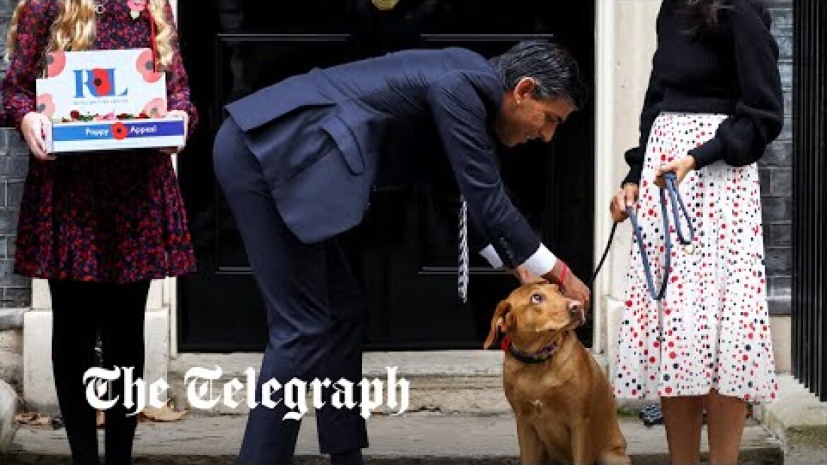 Prime Minister Rishi Sunak awkwardly buys poppies for wife and dog outside No.10