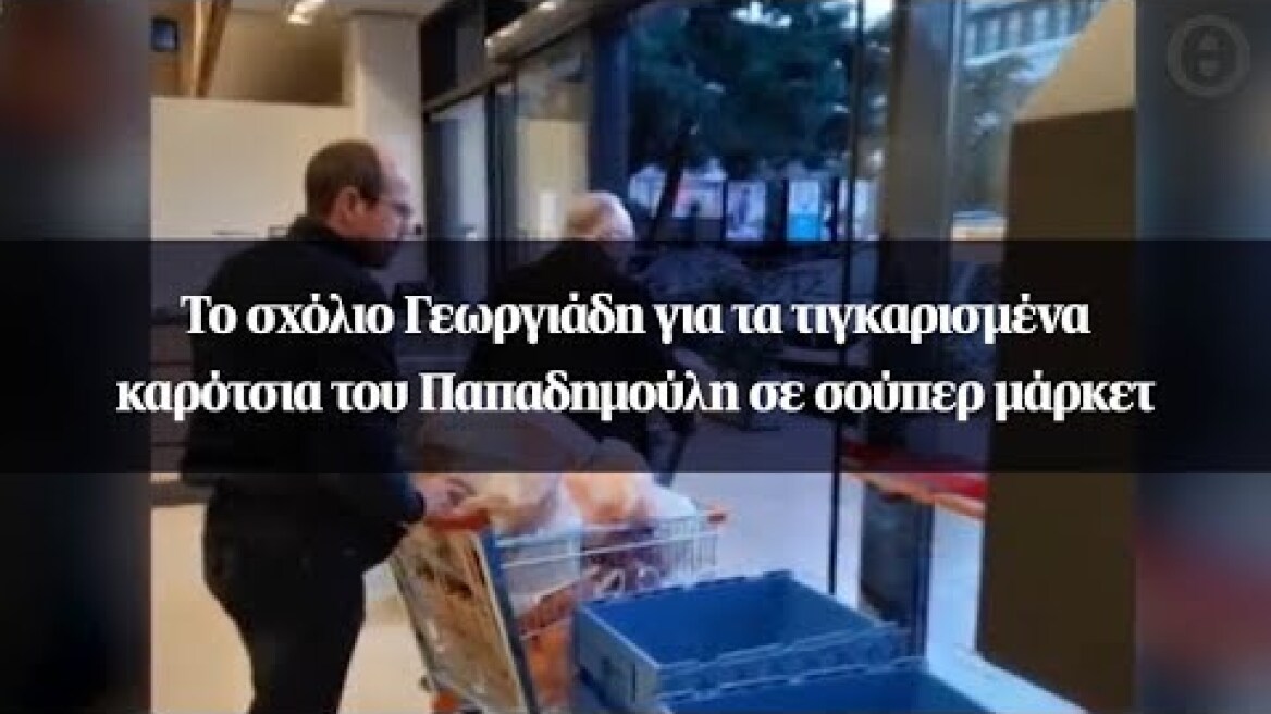 Το σχόλιο Γεωργιάδη για τα τιγκαρισμένα καρότσια του Παπαδημούλη σε σούπερ μάρκετ