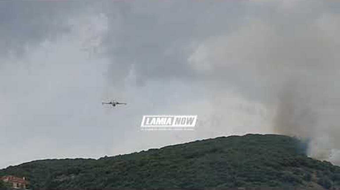 Μάχη με τις φλόγες, Διβρη, δηλώσεις