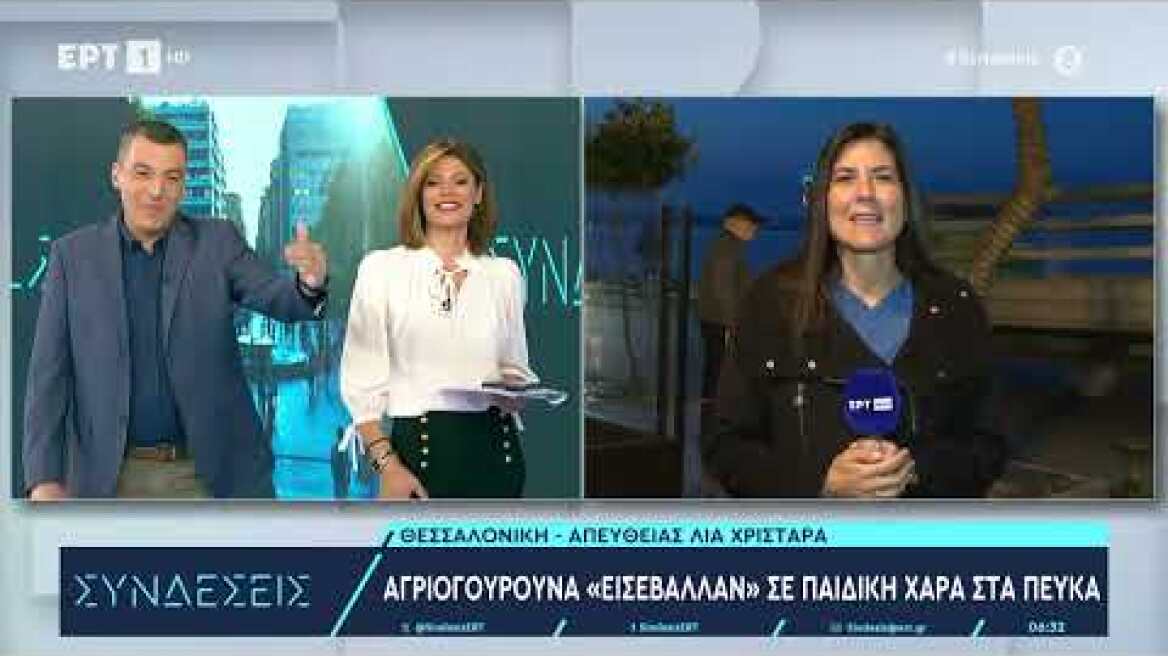 Αγριογούρουνα «εισέβαλλαν» σε παιδική χαρά στα Πεύκα | 30/10/2024 | ΕΡΤ