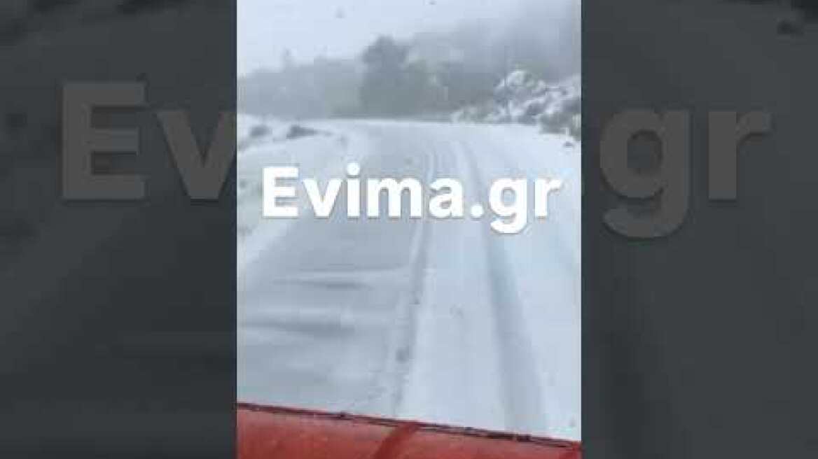 Χιονίζει στο Μετόχι προς Κύμη