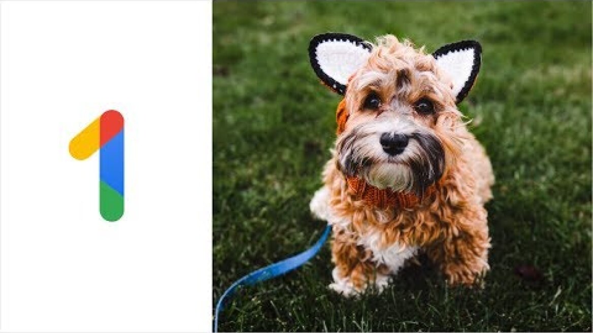 Introducing Google One