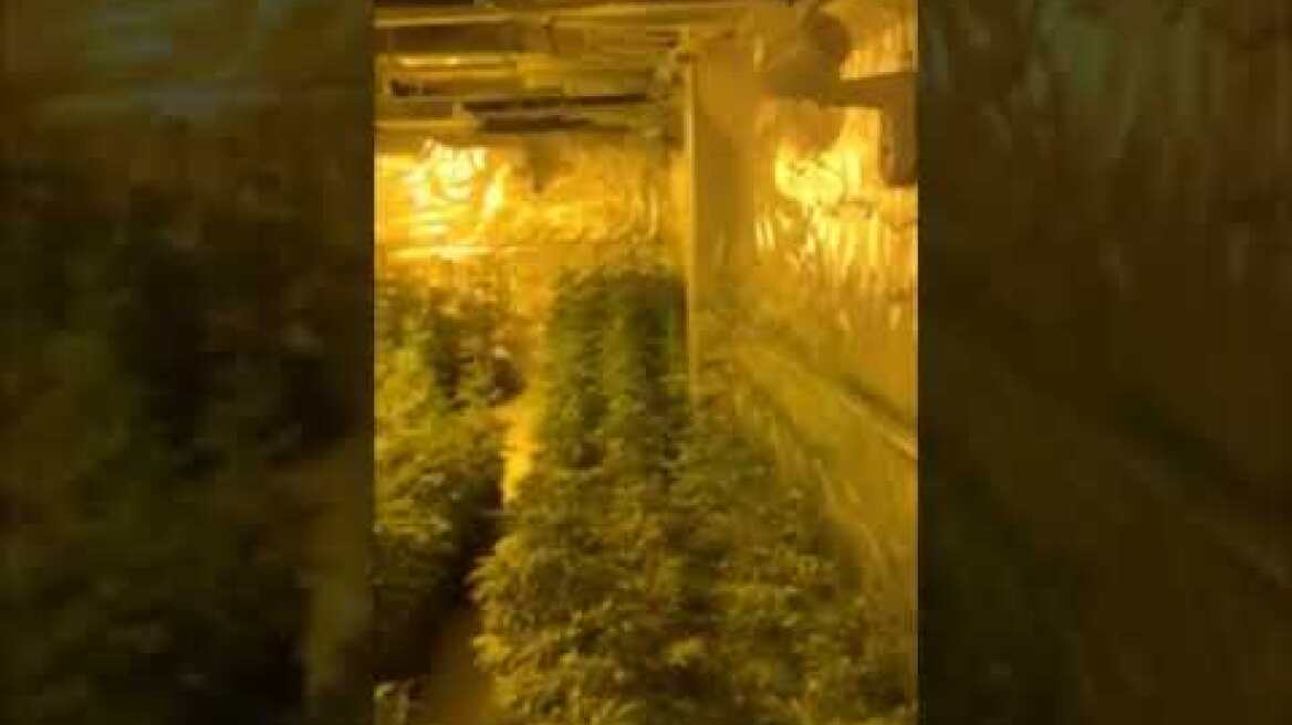 01-04-2025 Δ.Α.Ο.Ε. - Εξάρθρωση εγκληματικής οργάνωσης