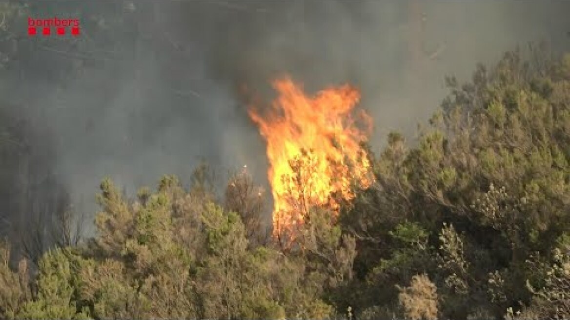 Fire near Spain's border with France spreading rapidly | AFP