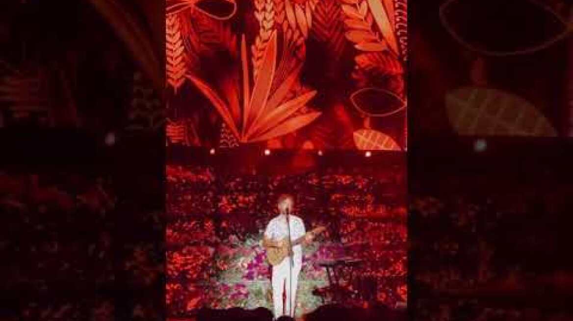 Η Τόνια Σωτηροπούλου στο Άλσος για τον Κωστή Μαραβέγια