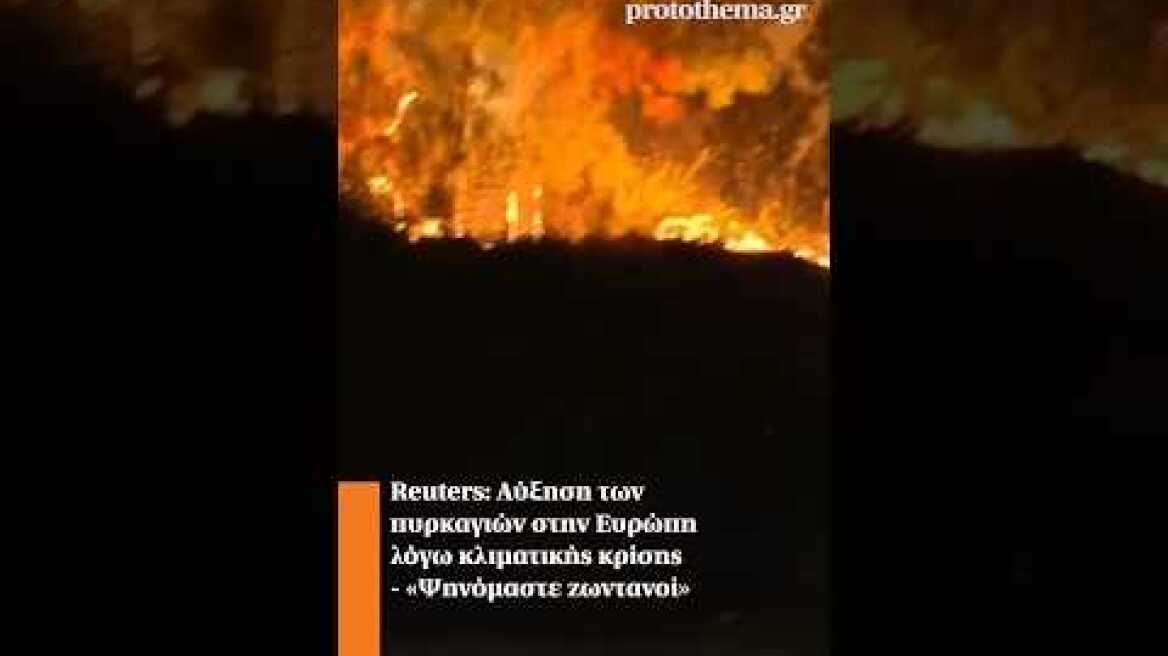 Reuters: Αύξηση των πυρκαγιών στην Ευρώπη λόγω κλιματικής κρίσης - «Ψηνόμαστε ζωντανοί»
