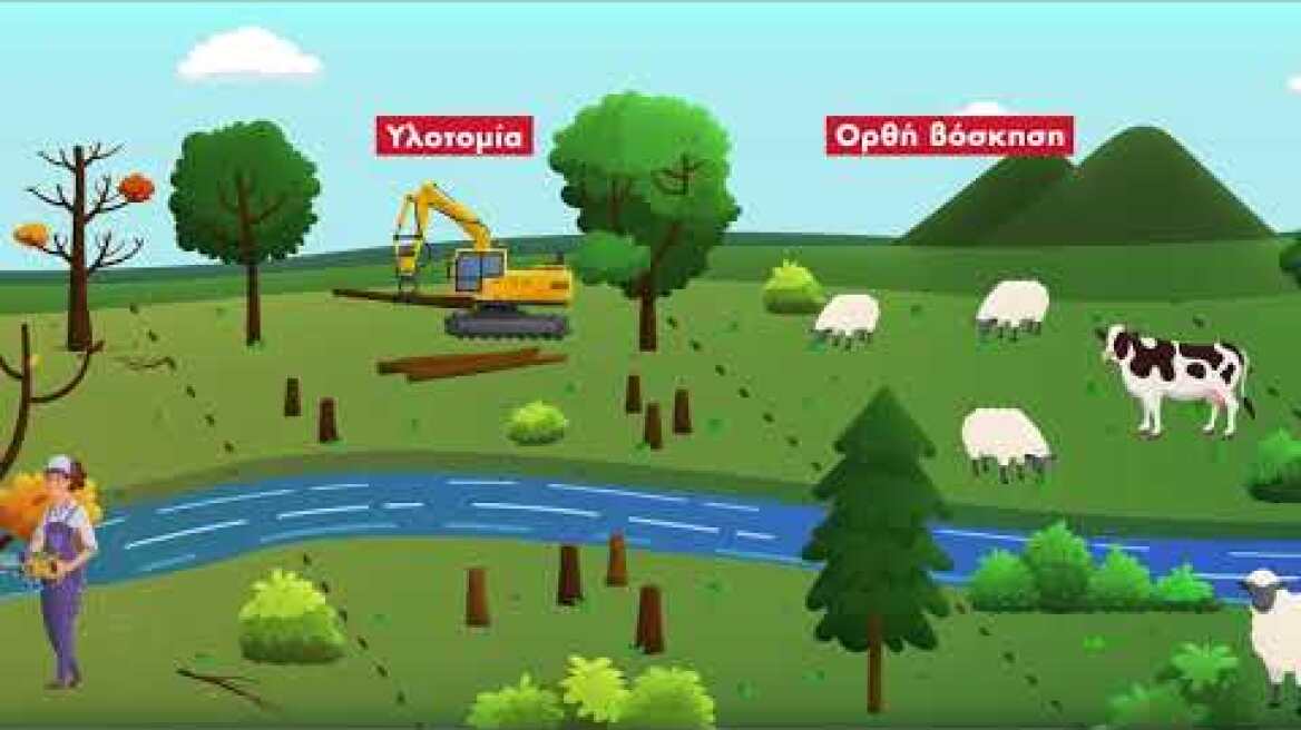 Εκπαιδευτικό βίντεο: Δασικές πυρκαγιές -Το πρόβλημα και τα αίτια