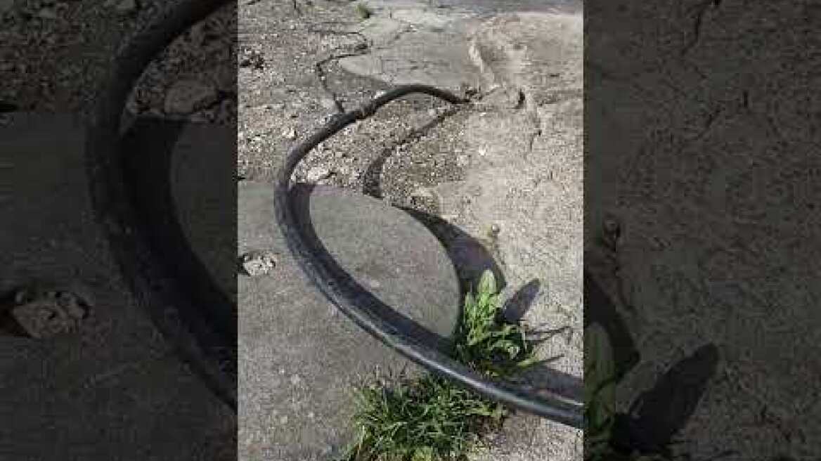 Μεγάλη Αστυνομική Επιχείρηση στα Άνω Λιόσια  5