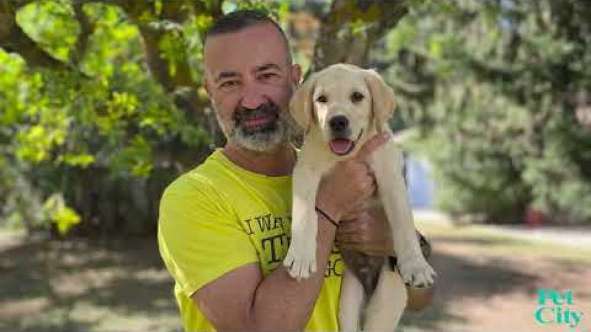 🐶 Pet City & Lara’s Guide Dogs! 🐶