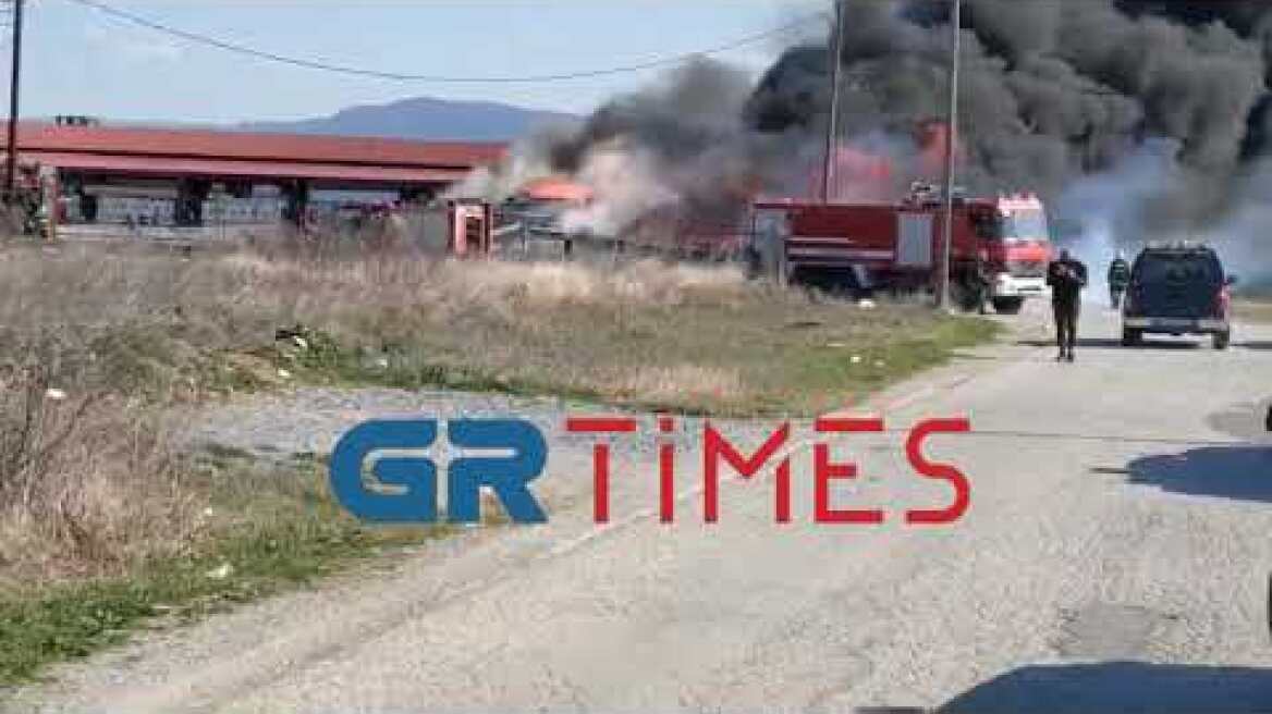 Μεγάλη φωτιά στη Θέρμη 2 -GRTimes