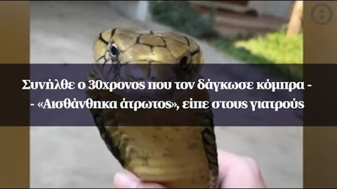 Συνήλθε ο 30χρονος που τον δάγκωσε κόμπρα - «Αισθάνθηκα άτρωτος», είπε στους γιατρούς