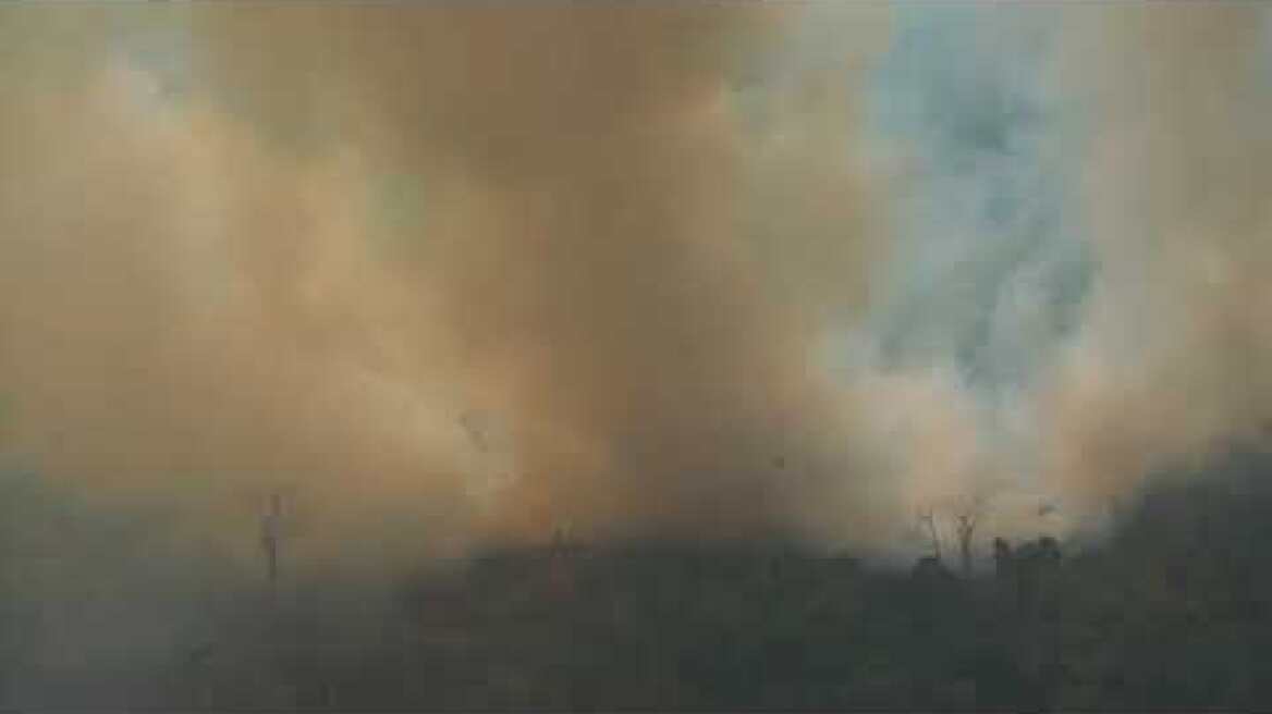 Brazil Sends in the Military as Amazon Fires Rage On