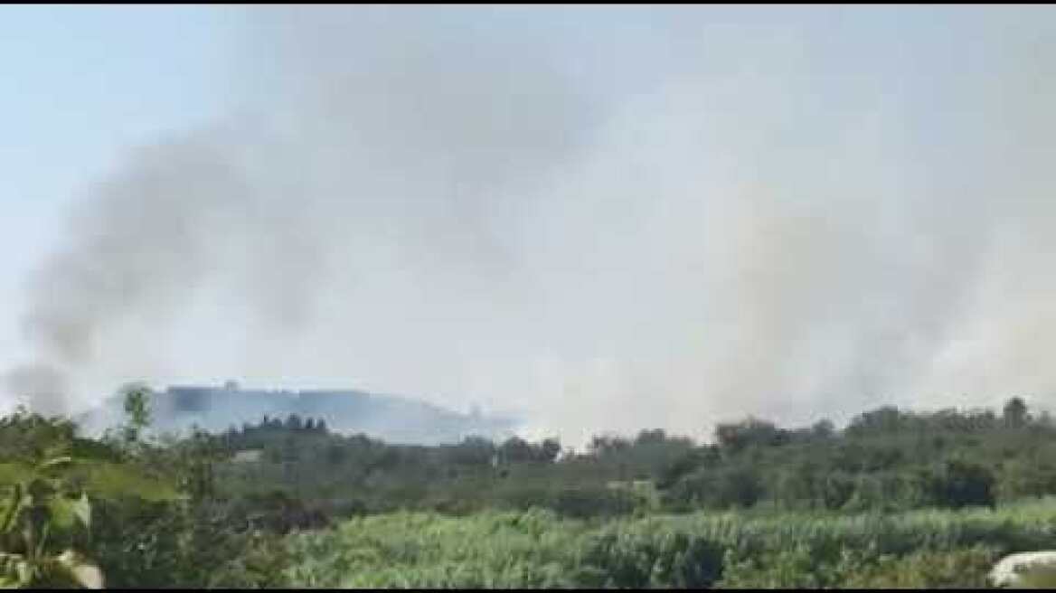 Φωτιά στα Κρητικά Λευκίμμης