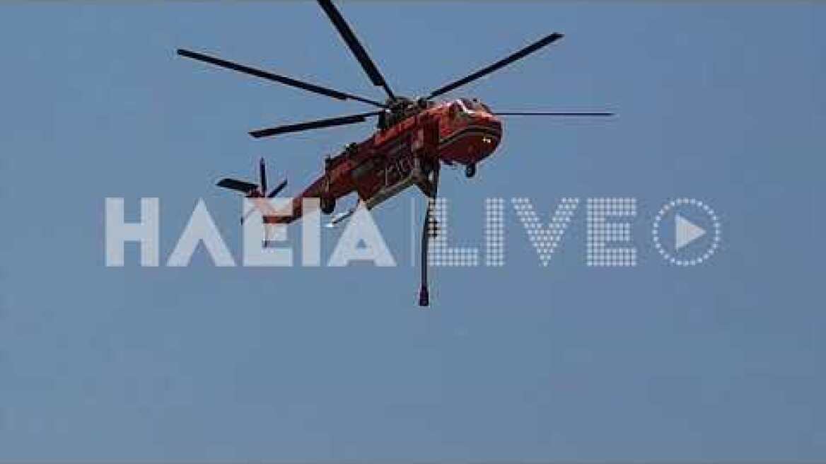 ilialive.gr - Αναζωπύρωση στην Κορυφή Πύργου