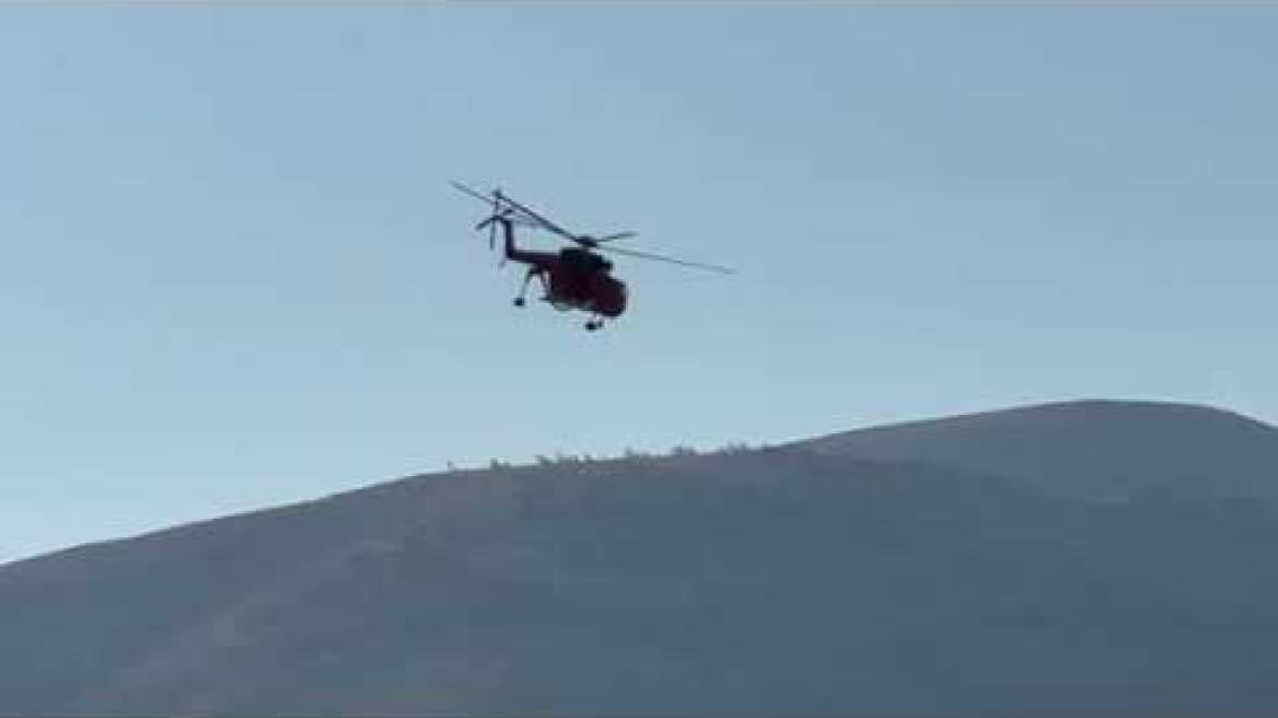 Φωτιά στην Καλλιτεχνούπολη (1)