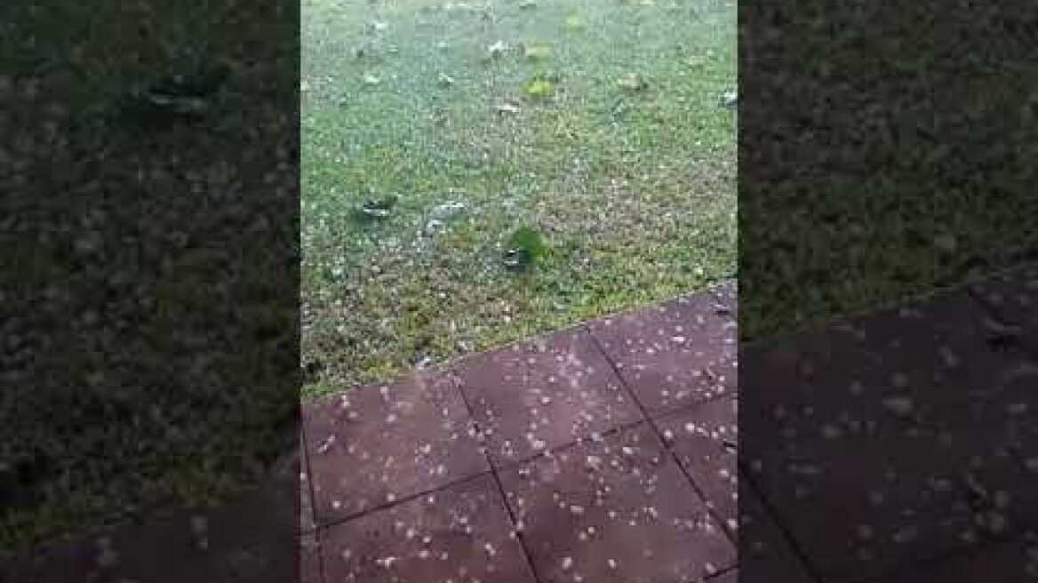 ΧΑΛΑΖΟΠΤΩΣΗ ΑΓΡΙΝΙΟ