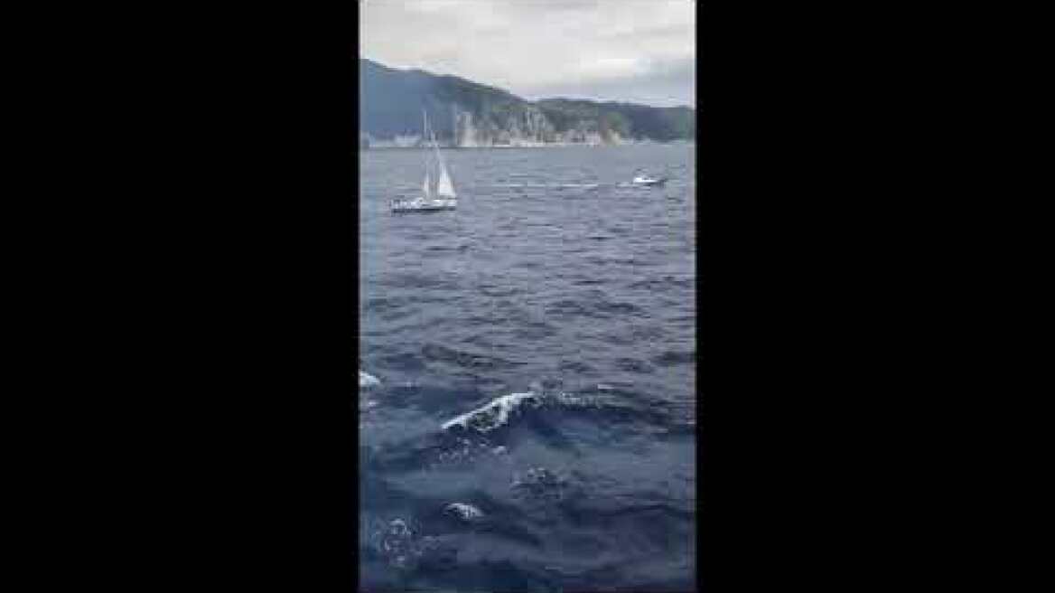 Ακυβέρνητο σκάφος στη Σκόπελο