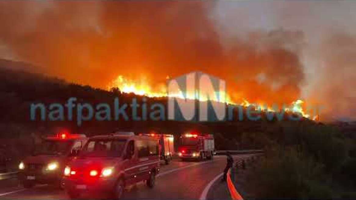 29 Ιουνίου 2025