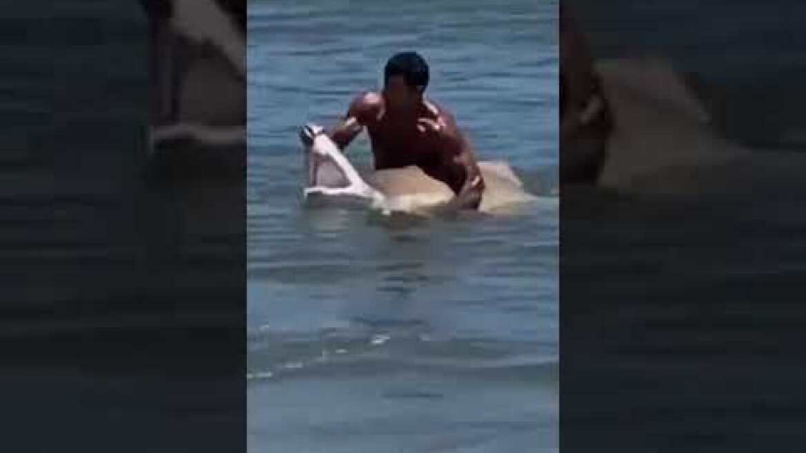 RAW VIDEO:  Swimmer captures shark off Delaware coast