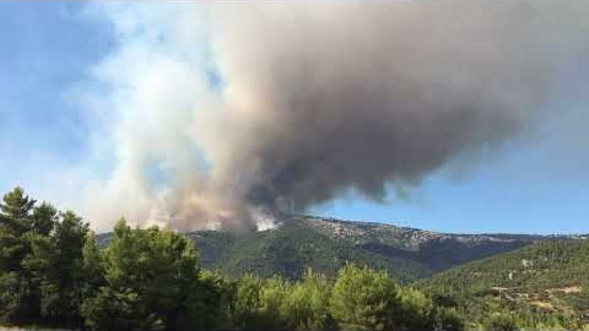 Η φωτιά από το χωριό Πλατάνα