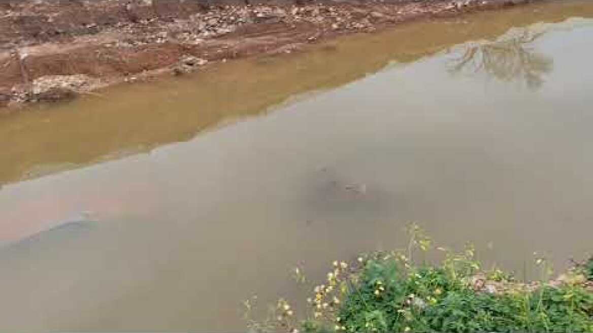 Ρέμα Κόρμπι: Στο φως βυθισμένο αυτοκίνητο (VIDEO)