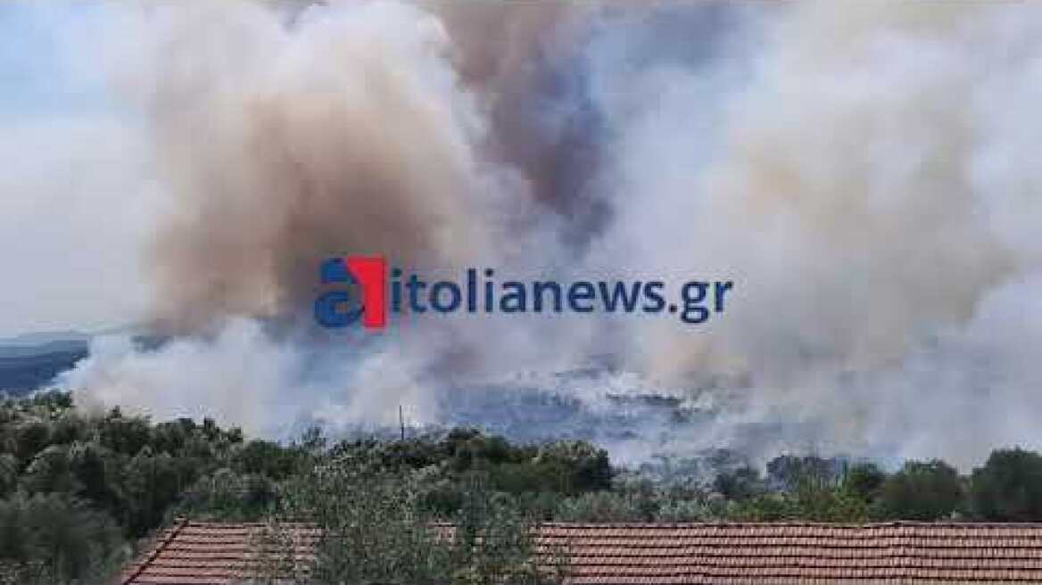 Μεγάλη πυρκαγιά στη Σταμνά Μεσολογγίου