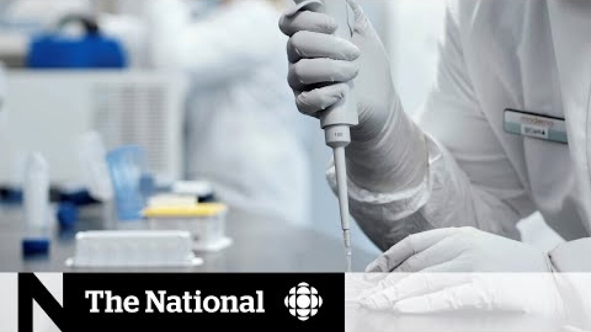 How well will COVID-19 vaccines work in the real world?