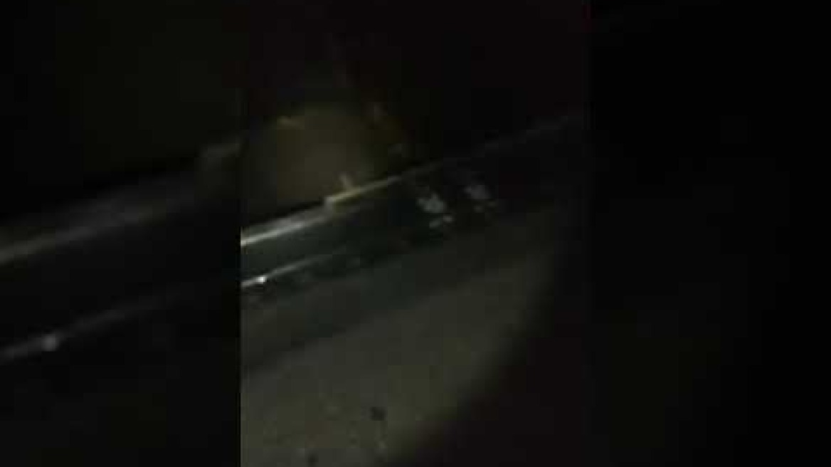 Κατέρρευσε η γέφυρα του ποταμού Μάκκαρη