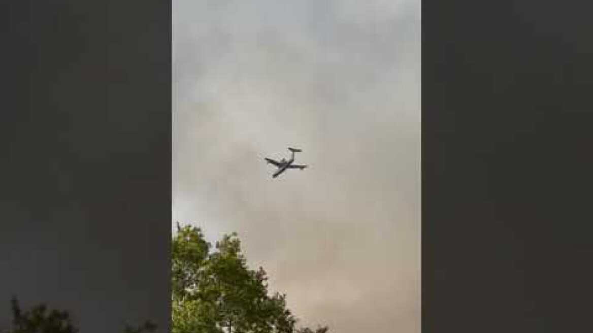 Αρχαία Ολυμπία