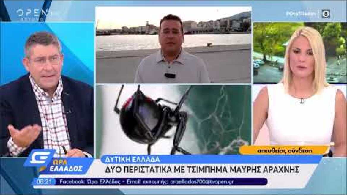 Δύο περιστατικά με τσίμπημα μαύρης αράχνης - Κινδύνεψε 10 μηνών παιδί - Ώρα Ελλάδος | OPEN TV