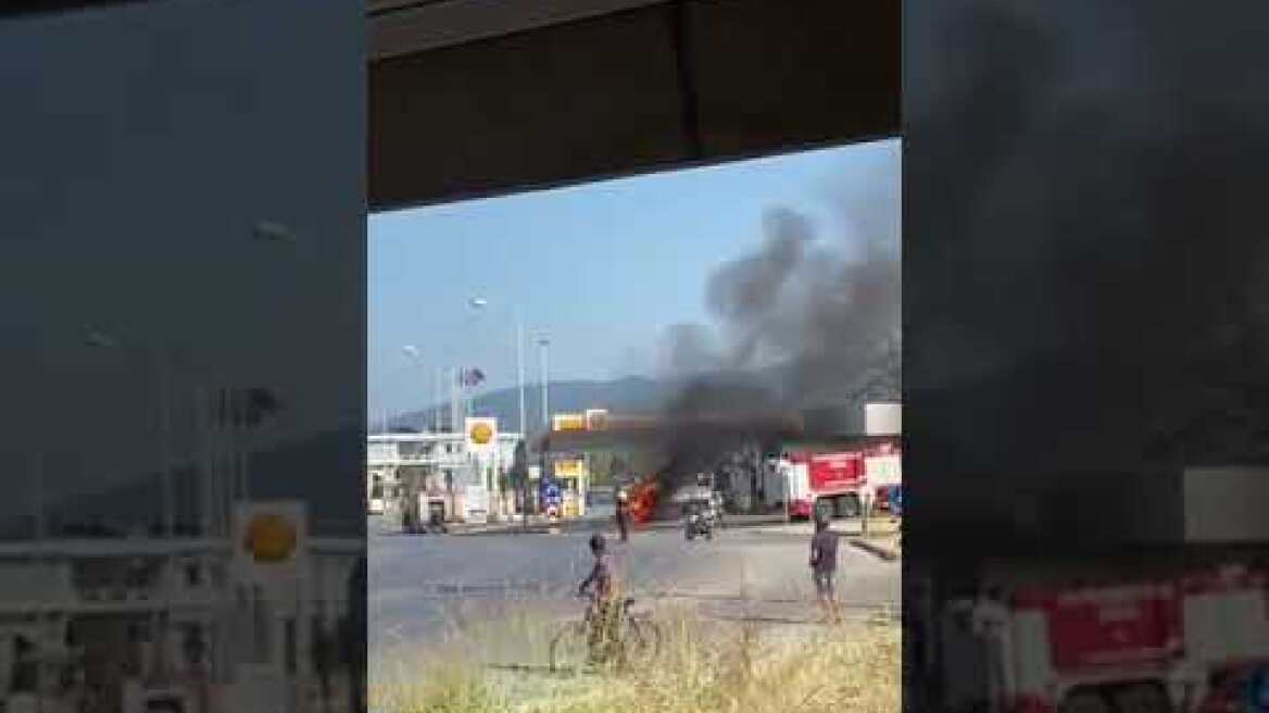 Βίντεο - Φωτιά