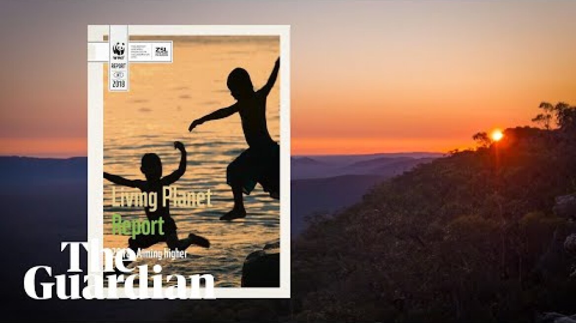 WWF report warns annihilation of wildlife threatens civilisation