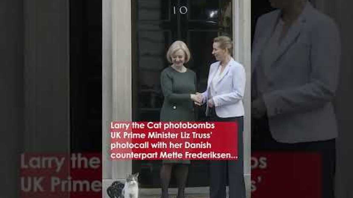 Watch the Moment Larry the Cat SNUBS Liz Truss
