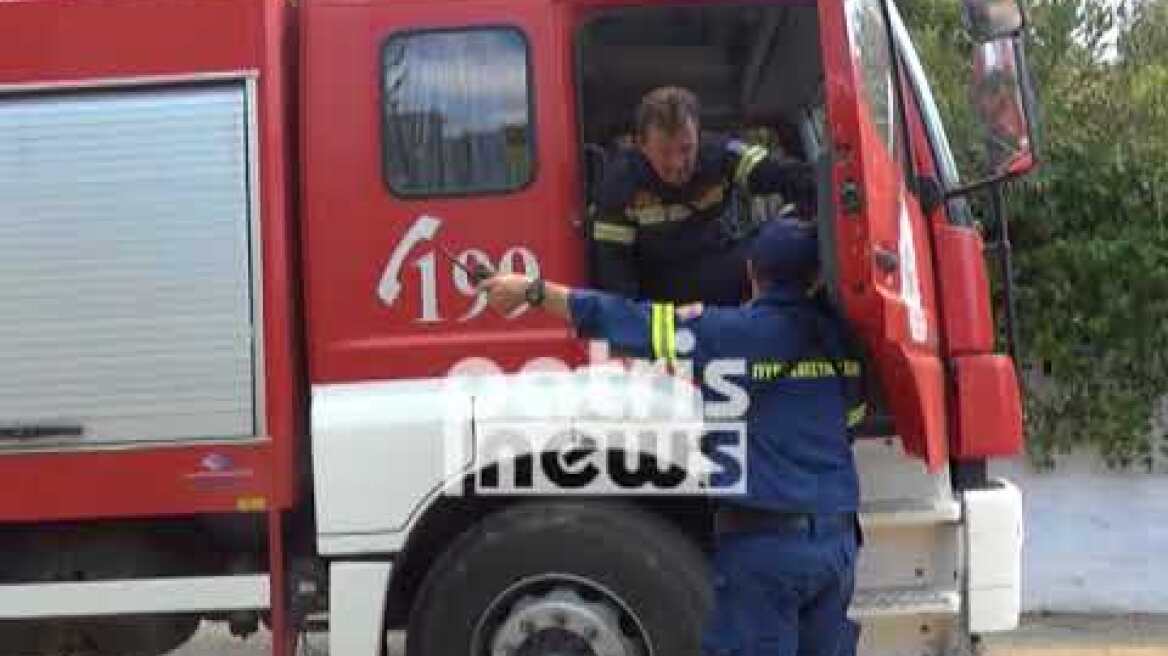Αμαλιάδα: Μεγάλη πυρκαγιά σε εξέλιξη στη Δαφνιώτισσα – Εκκενώθηκαν σπίτια – Φωτιά και στο Γεράκι
