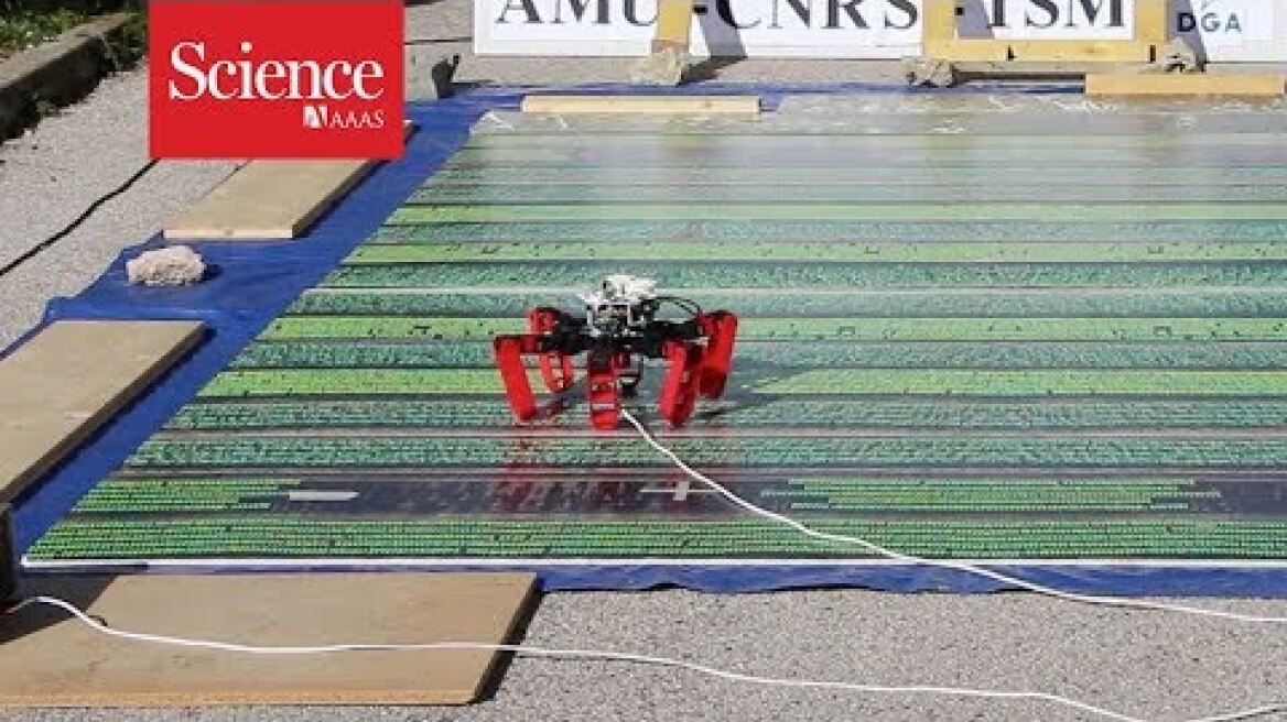 Ant-inspired robot can navigate better than civilian GPS