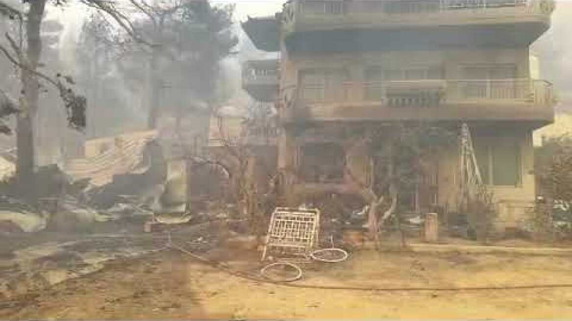 Φωτιά στην περιοχή της Φυλής (4)